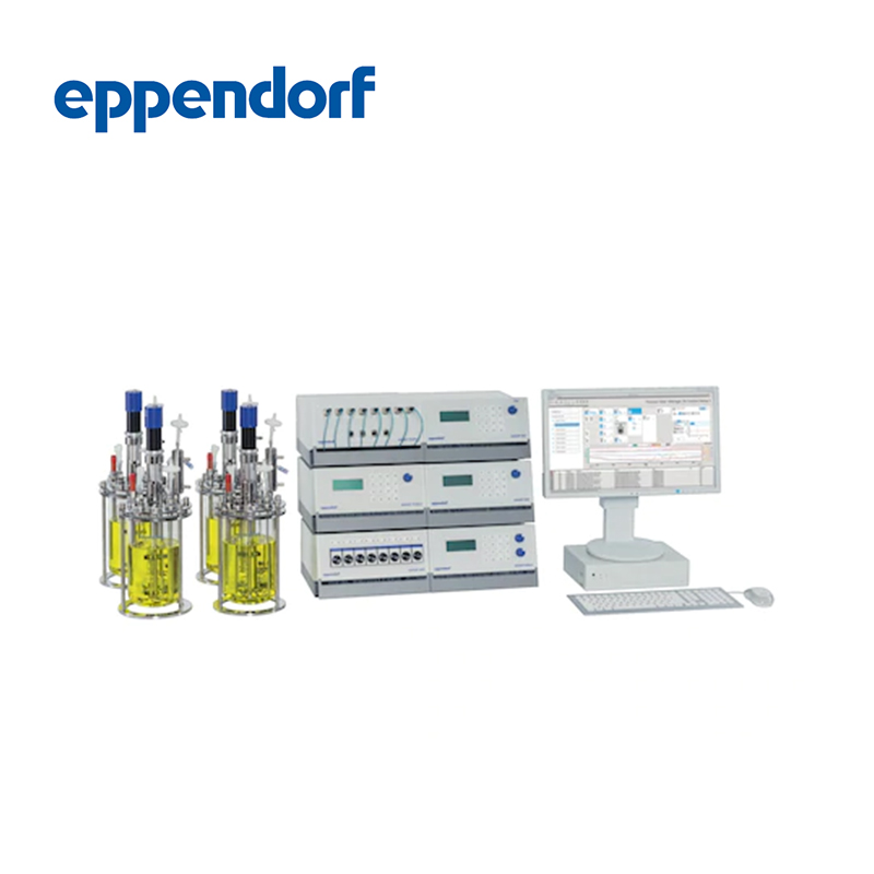 德國艾本德Eppendorf,DASGIP? Parallel Bioreactor System,適用微生物應(yīng)用,最大250?sL/h通氣,12 罐體系統(tǒng),臺式罐體
